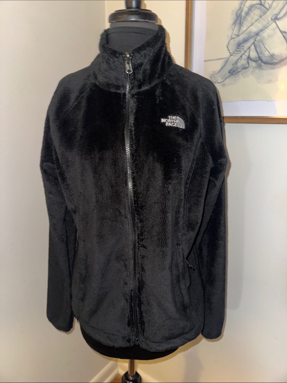 The North Face | Black Osito Fleece Jacket-Size Medium